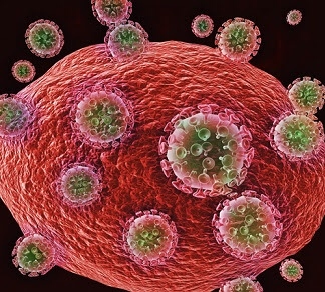 Los investigadores eliminan con éxito el VIH en un modelo de ratón