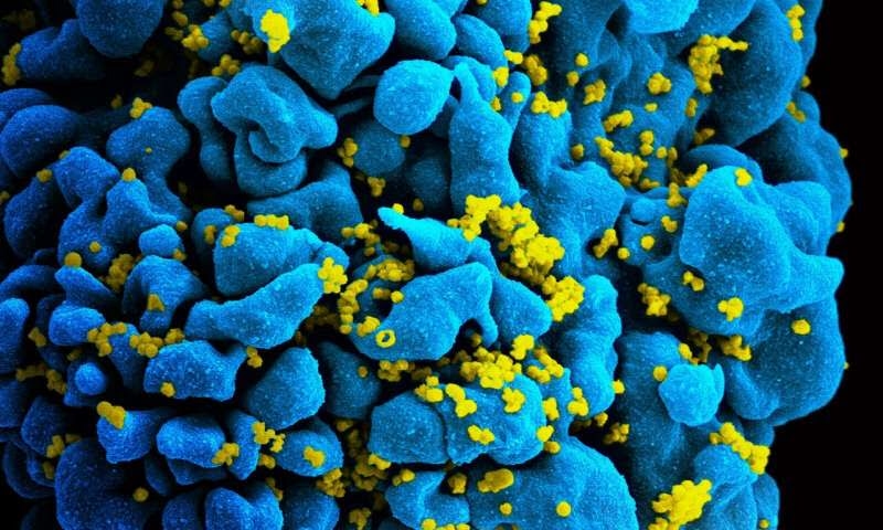 Novedosas microagujas con nanoingeniería para la administración de medicamentos contra el VIH