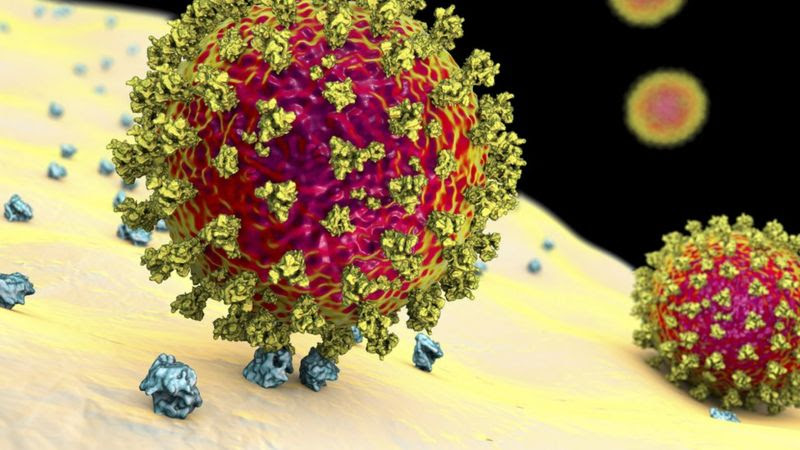 Coronavirus: 7 avances científicos que se han logrado durante la pandemia