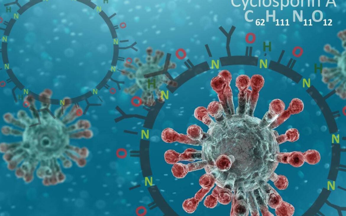 Ciclosporina, un candidato prometedor para tratar la covid-19