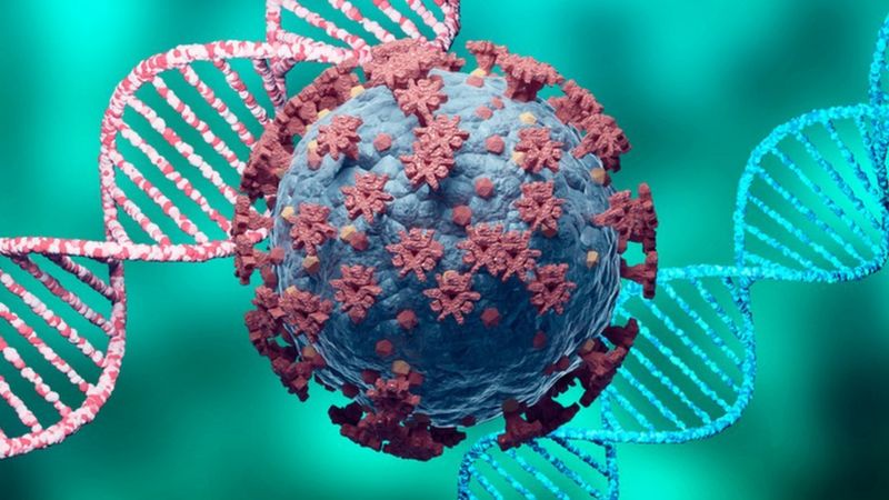 Variante brasileña de coronavirus: qué se sabe de la P.1