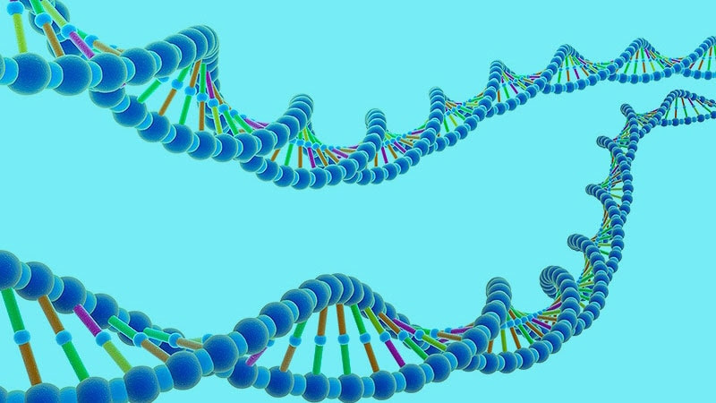 La firma genética que nos hace vulnerables a la COVID-19