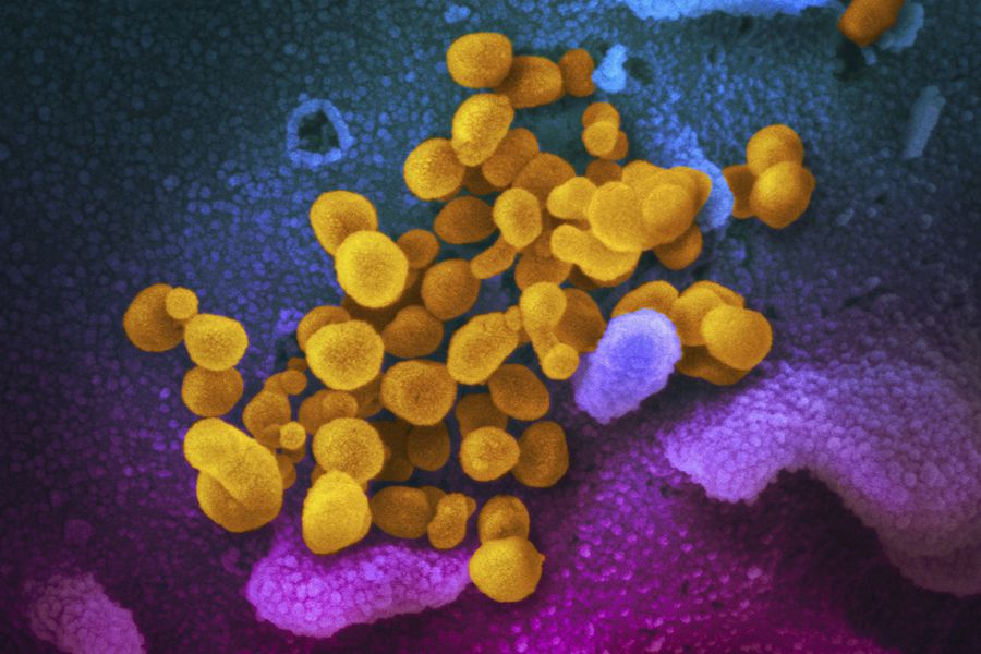 La prevención de la transmisión del SARS-CoV-2 en los entornos sanitarios en el contexto de la variante Omicron