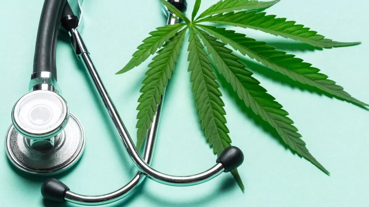 Pacientes con dolor crónico intercambiando opioides por cannabis medicinal